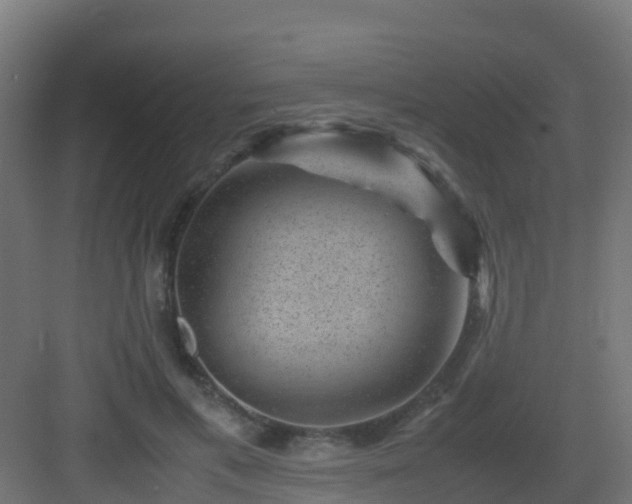 X0000082990597200702081836