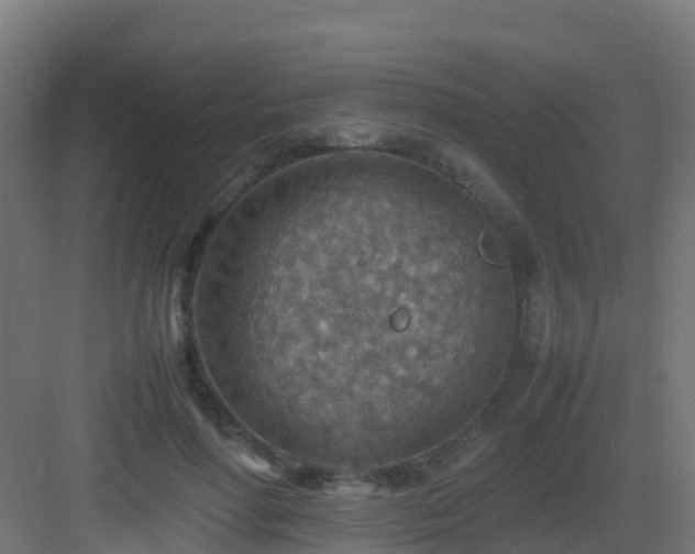 X0000082990598200702081836