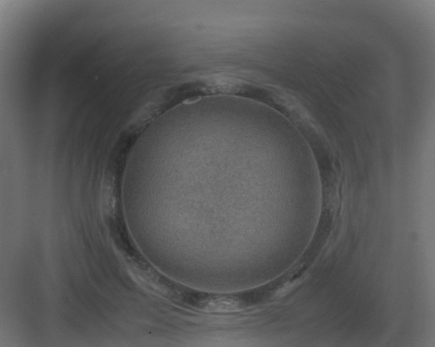 X0000082990599200702081836