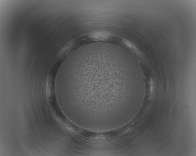 X0000082990600200702081836