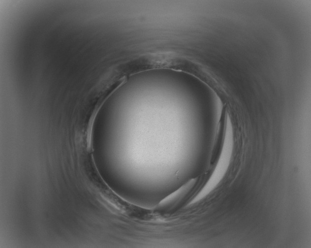 X0000082990601200702081836