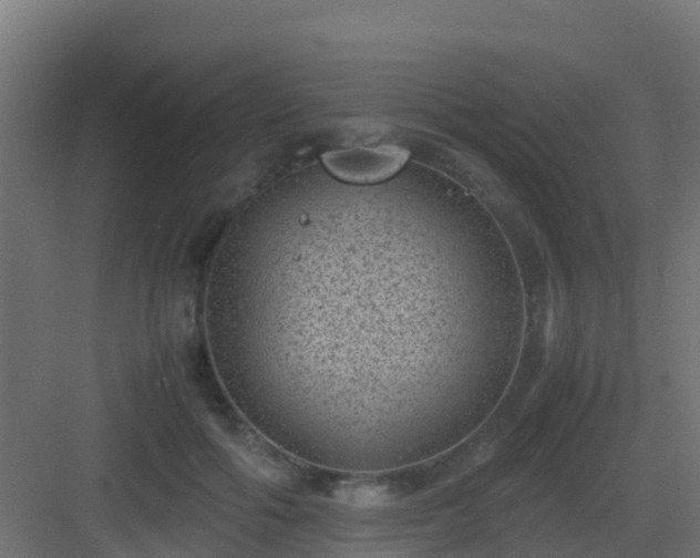 X0000082990602200702081836