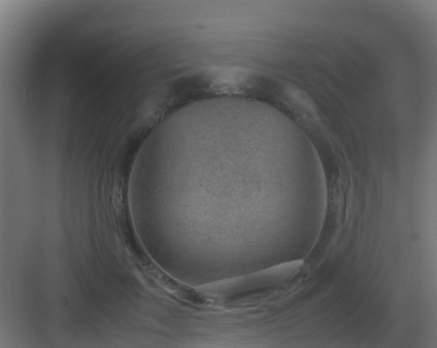 X0000082990603200702081836