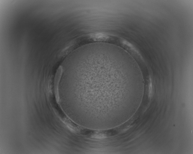 X0000082990604200702081836