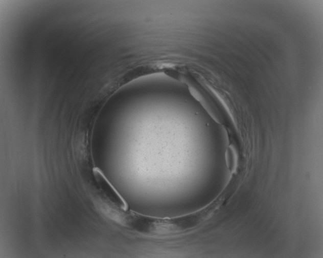 X0000082990605200702081836