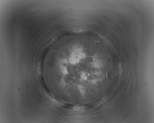 X0000082990606200702081836