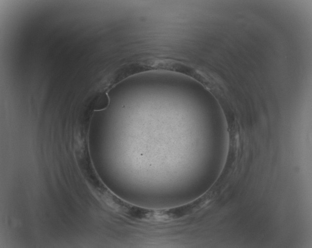 X0000082990607200702081836