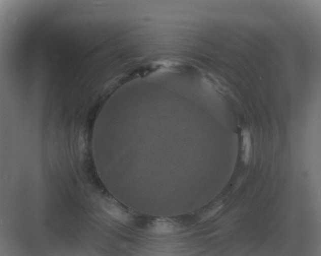 X0000082990608200702081836