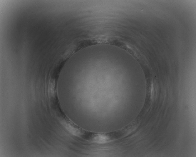 X0000082990610200702081836