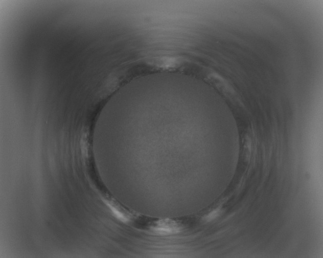 X0000082990612200702081836