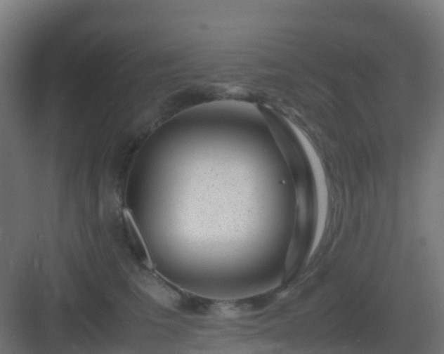 X0000082990613200702081836