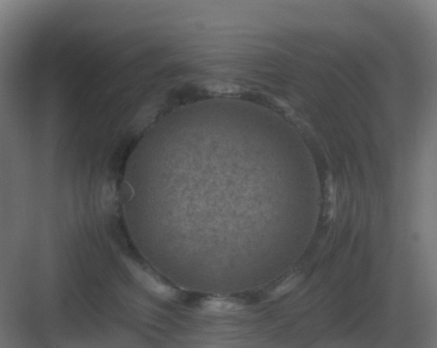 X0000082990614200702081836