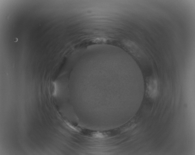 X0000082990616200702081836