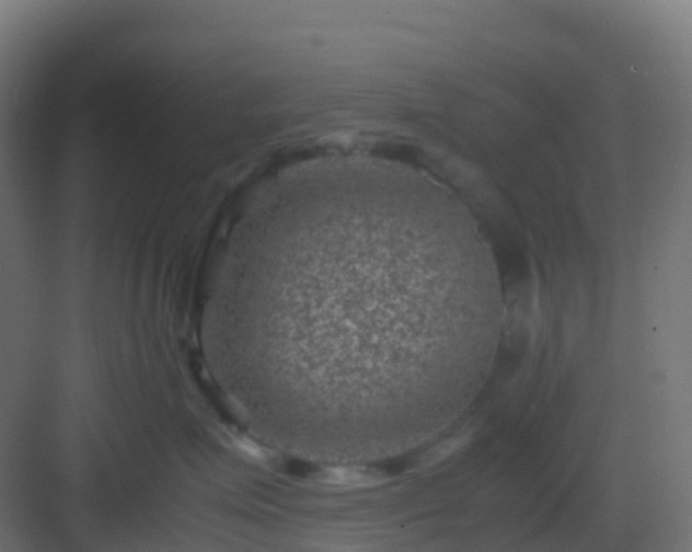 X0000082990623200702081836