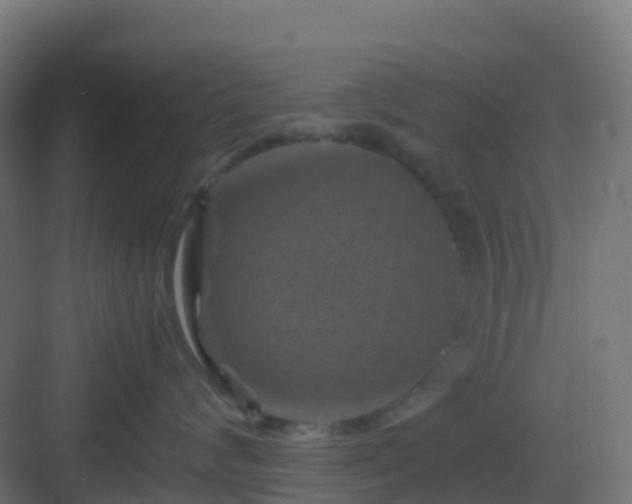 X0000082990624200702081836