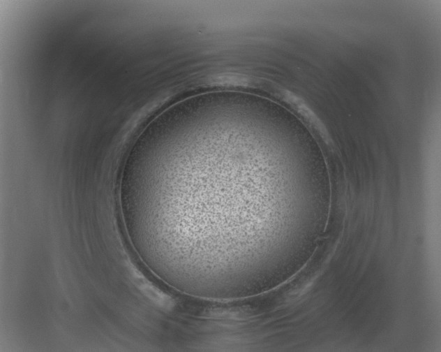 X0000082990625200702081835