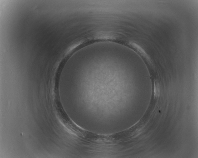 X0000082990627200702081835