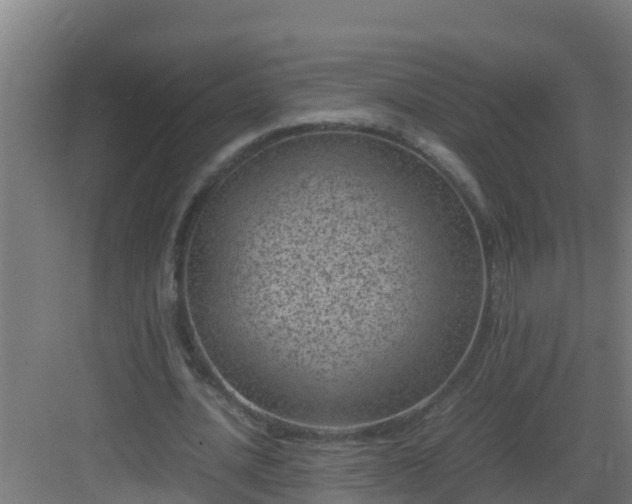 X0000082990628200702081835