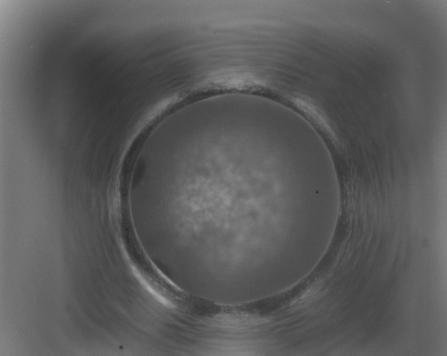 X0000082990630200702081835