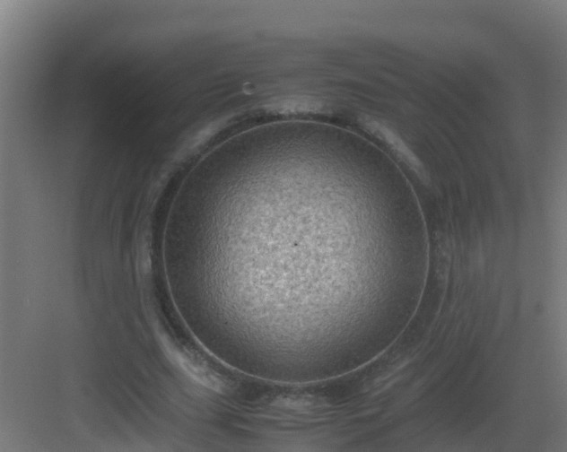 X0000082990631200702081835