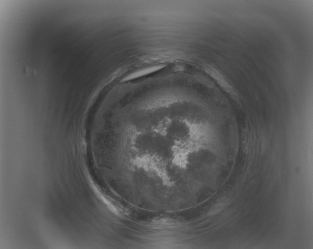 X0000082990634200702081835