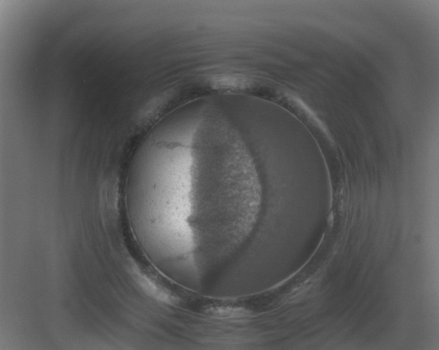 X0000082990637200702081835