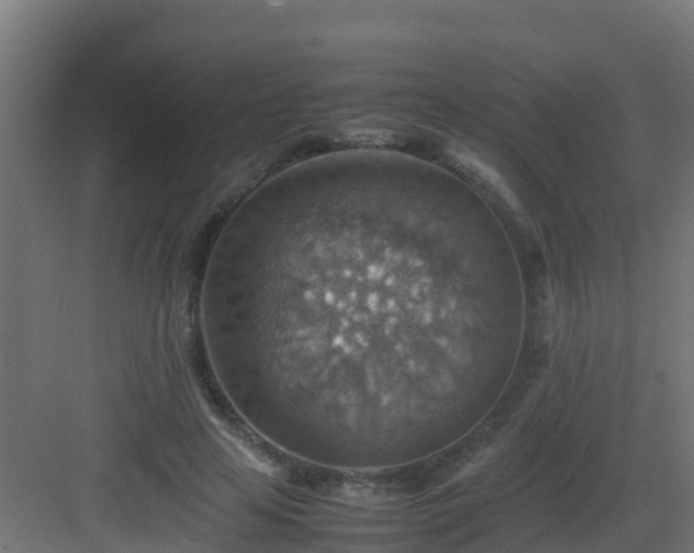 X0000082990641200702081835