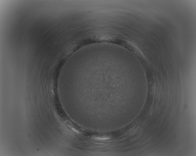 X0000082990643200702081835