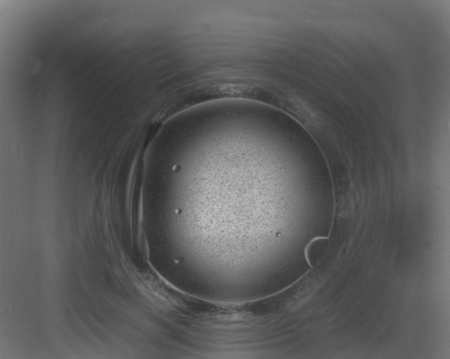 X0000082990646200702081835