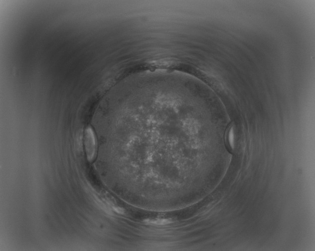 X0000082990647200702081835