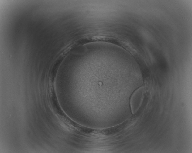 X0000082990648200702081835