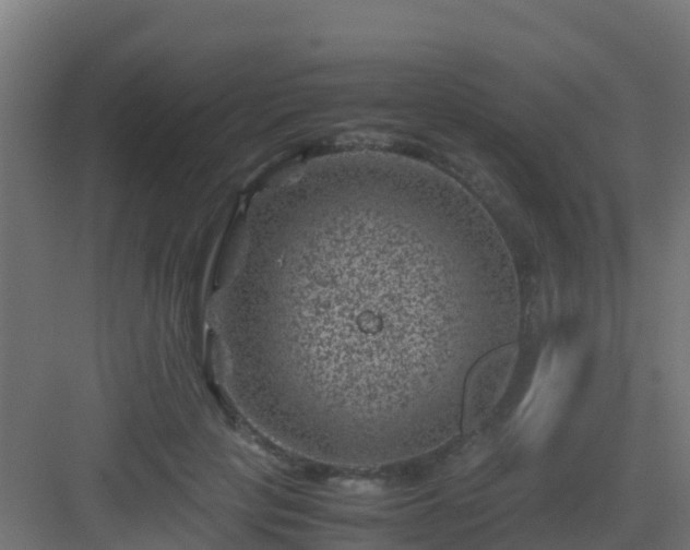 X0000082990649200702081835