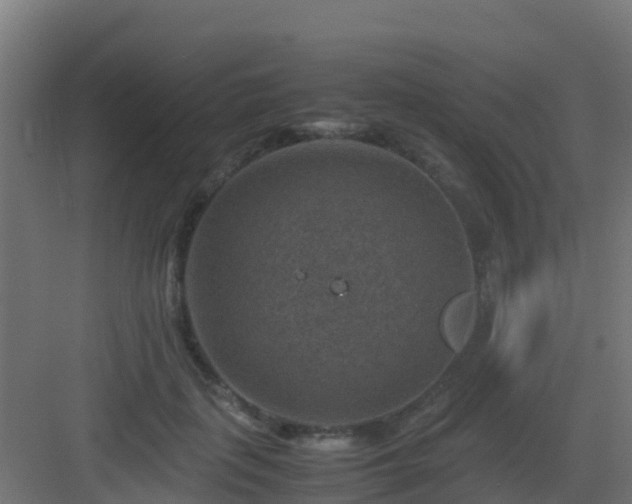 X0000082990651200702081835