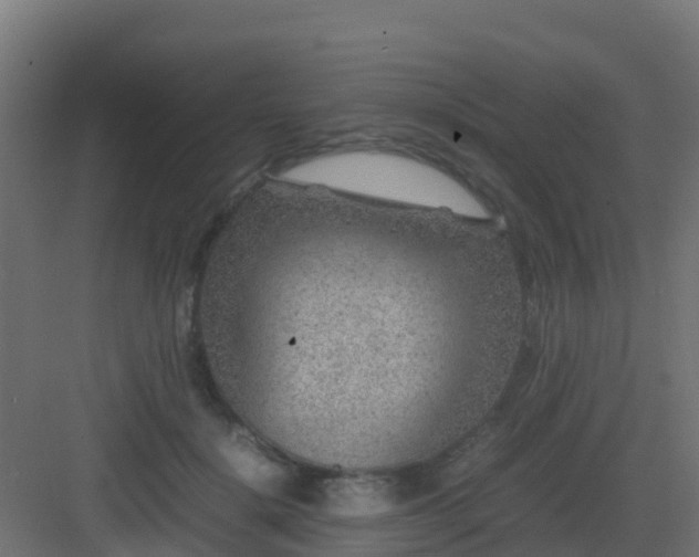 X0000082990652200702081835