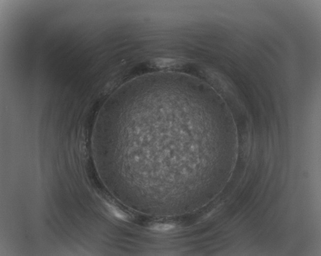 X0000082990653200702081836