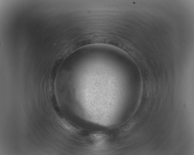 X0000082990654200702081836