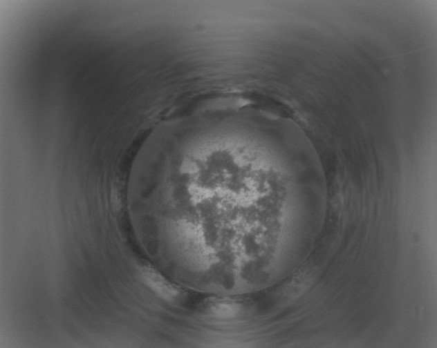 X0000082990658200702081836