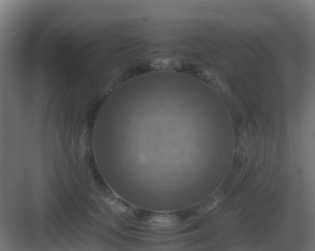 X0000082990659200702081836