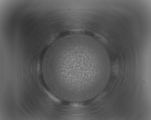 X0000082990662200702081836