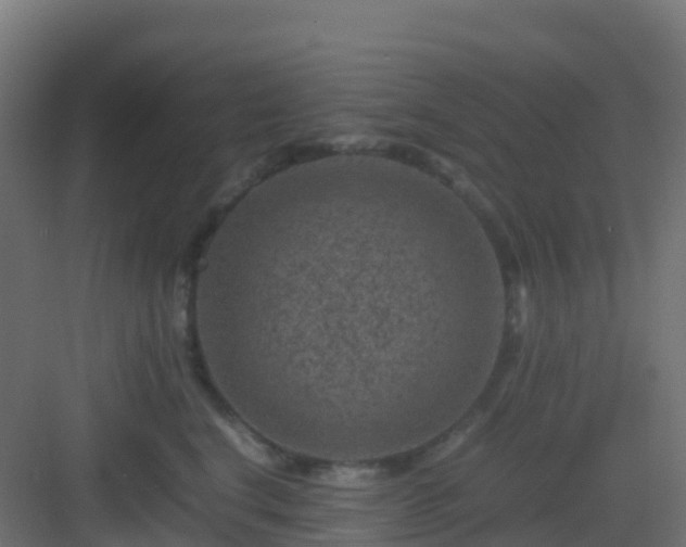 X0000082990664200702081836