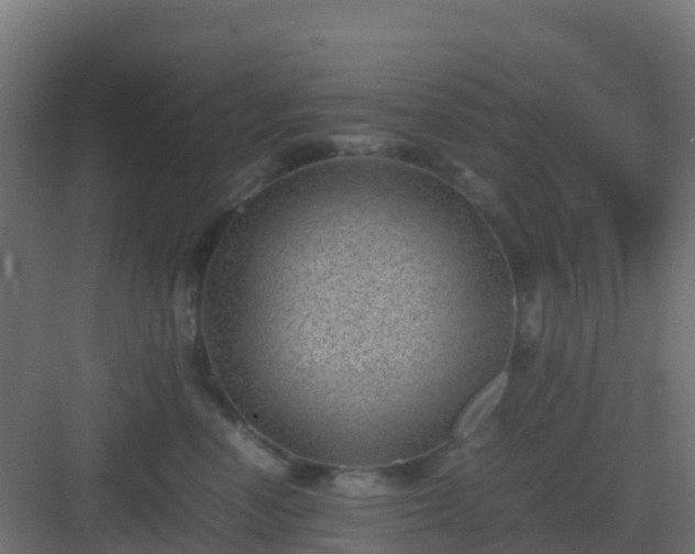 X0000082990666200702081836