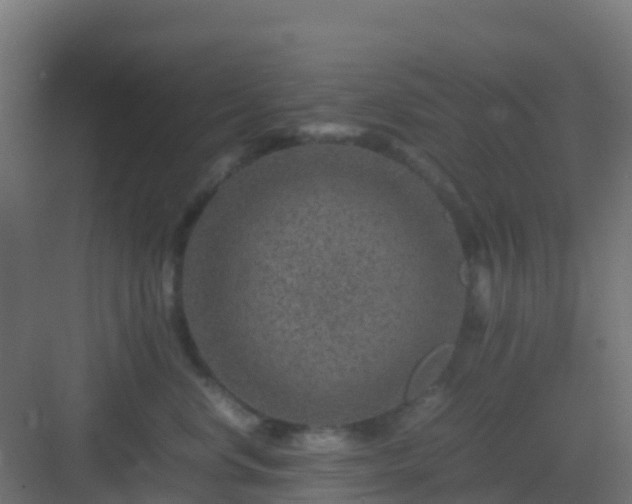 X0000082990668200702081836