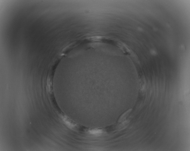 X0000082990669200702081836