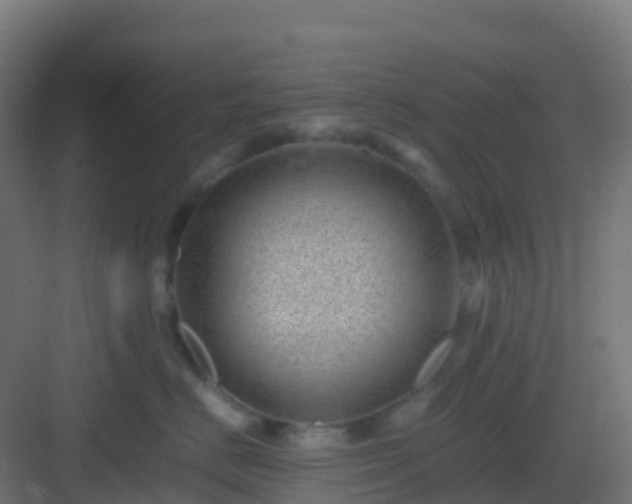 X0000082990670200702081836