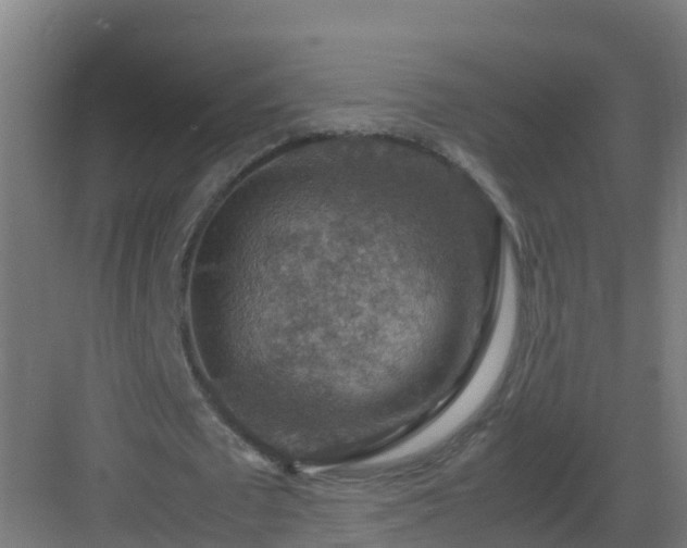 X0000082990673200702081835