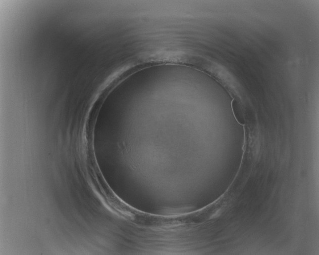 X0000082990674200702081835