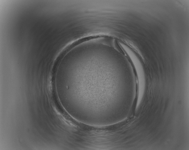 X0000082990676200702081835