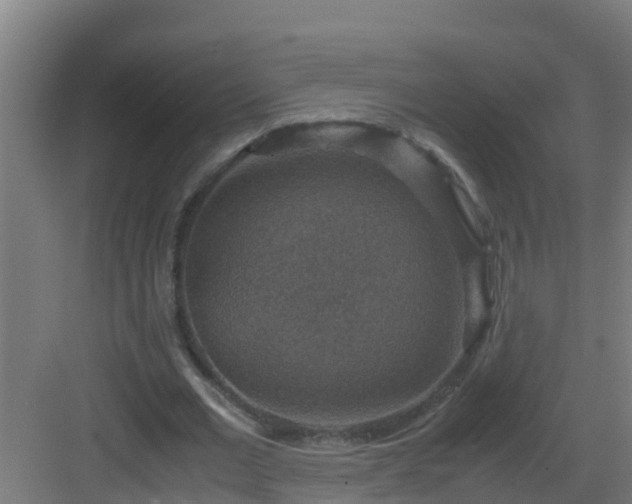 X0000082990677200702081835