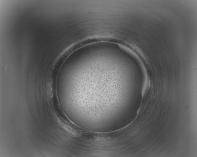 X0000082990684200702081835