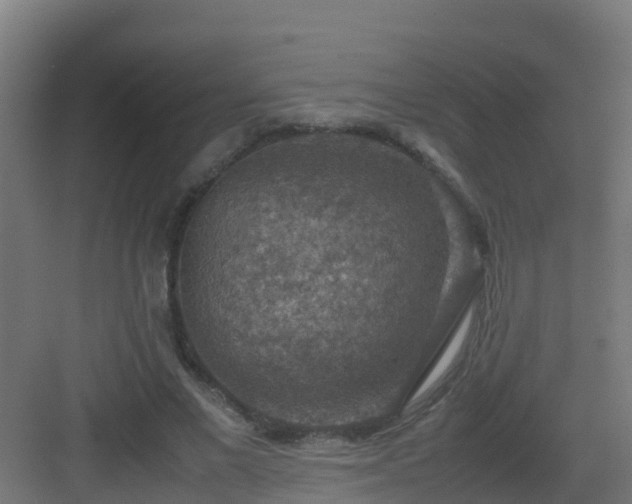 X0000082990685200702081835